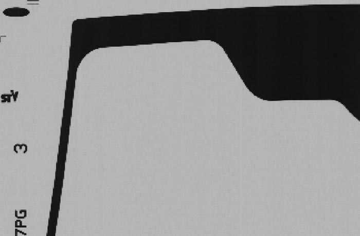 Sistema di visione per controllo della mascheratura del coating
